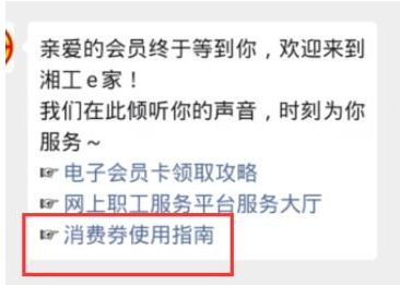 微信湖南省消费券怎么领