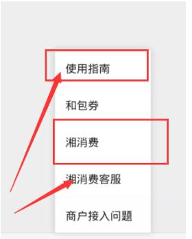 微信湖南省消费券怎么领