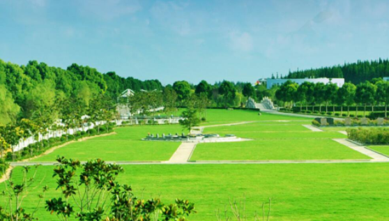 1585280137992345.png 2020上海汇龙园清明祭扫怎么预约