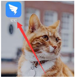 钉钉怎么批量添加不是本公司的联系人