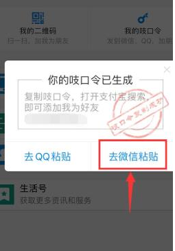 支付宝怎么通过送吱口令添加好友