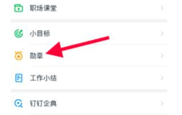 1583997635593365.png 钉钉的钉能量有什么用