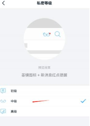 钉钉密聊以及私密等级在哪