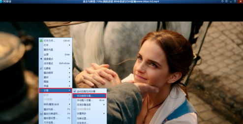 1582893807289219.png 手机qq影音怎么给视频添加字幕