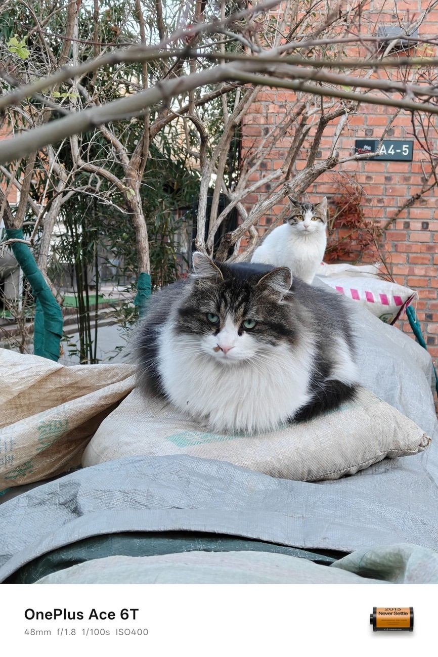 一加 Ace 6T全面评测:刷新高帧体验上限的旗舰性能新选择