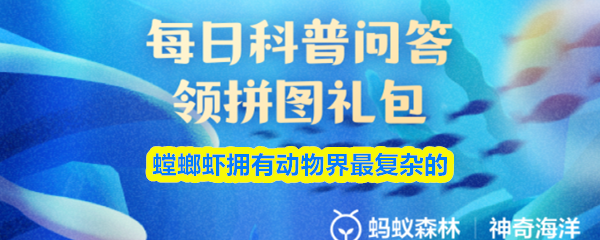 螳螂虾拥有动物界最复杂的