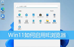 Windows11系统中找不到IE浏览器了怎么办-如何在Windows11中恢复隐藏的IE浏览器