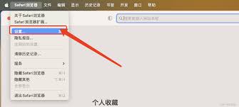 safari如何直接进入网址