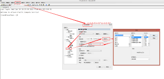 SecureCRT如何设置中文界面
