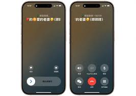 iPhone的CallKit功能如何开启