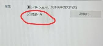 如何在电脑上隐藏文件？保护个人隐私技巧