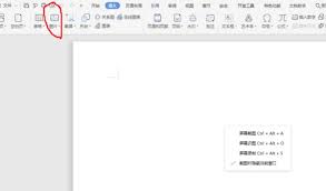wps电脑版如何开空白文件和插入图片