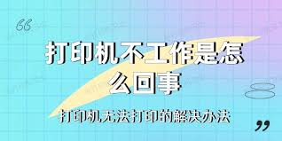 打印机不打印怎么办