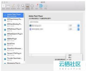解决苹果Safari浏览器无法加载网页