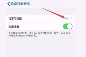 苹果手机4g网络无法使用怎么办