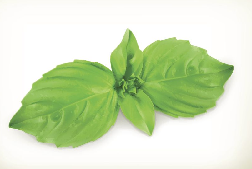 薄荷健康APP记录经期怎么操作