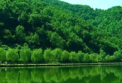 焦作行余额怎么查