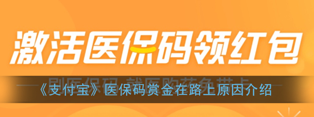 支付宝app医保码赏金在路上什么原因