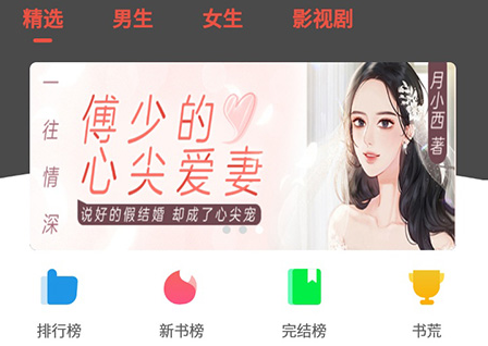 派比小说书评怎么写