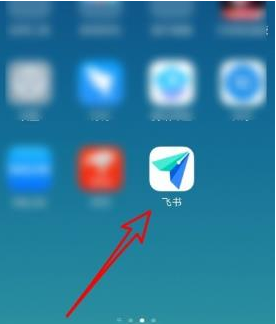 飞书怎么解除群组成员禁言