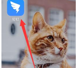 钉钉好友特别关注怎么设置