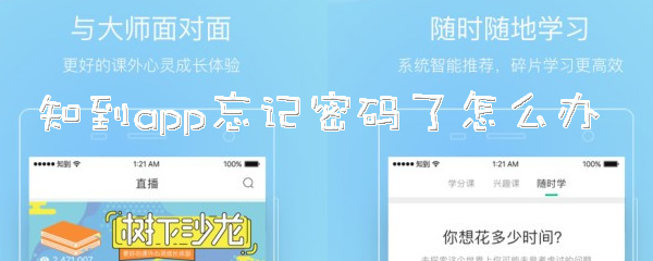 知到app忘记密码了怎么找回