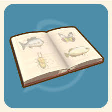 金肯小镇有什么成就