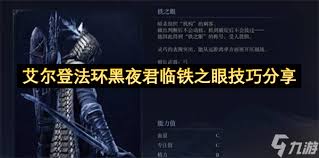 艾尔登法环黑夜君临铁之眼武器装备怎么玩