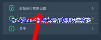 dayband如何设置后台权限