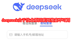 deepseek联网搜索不可用怎么办