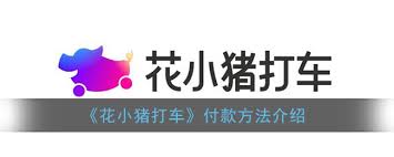 花小猪打车如何支付乘车费