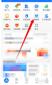 如何查询支付宝核酸码