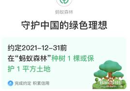 支付宝种树约定在哪参与