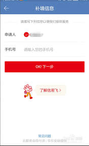 信用飞怎么提高额度