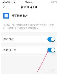 支付宝地下室怎么关闭