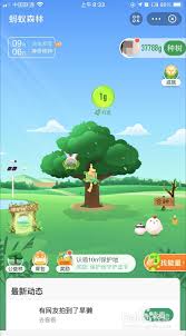 蚂蚁森林过期能量怎么查看