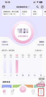 体重小本如何使用