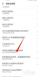 小宇宙如何设置自动播放