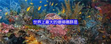 世界上最大的珊瑚礁群是什么