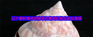 海洋动物早在寒武纪出现的是哪种