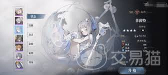 忘却前夜宁菲亚技能是什么