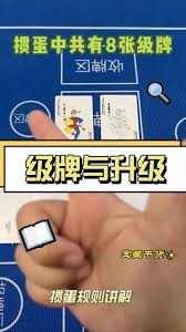 多乐升级基础规则详解