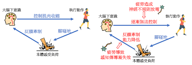 开放空间疲劳值有何影响