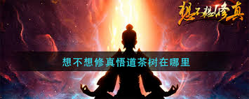 想不想修真悟道茶树位置在哪
