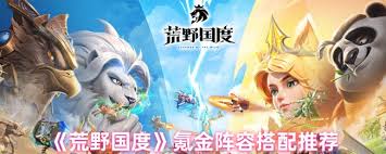 荒野国度如何搭配氪金阵容