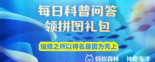缢蛏之所以得名是因为壳上