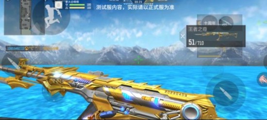 《穿越火线:枪战王者》王者81介绍