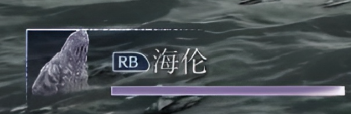 《艾尔登法环:黑夜君临》复仇者强度介绍