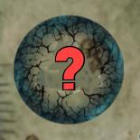 《艾尔登法环:黑夜君临》全随机地标具体作用介绍