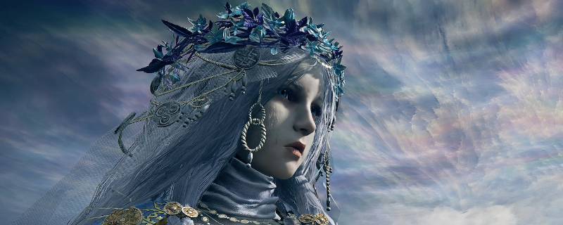 《艾尔登法环：黑夜君临》复仇者玩法攻略分享